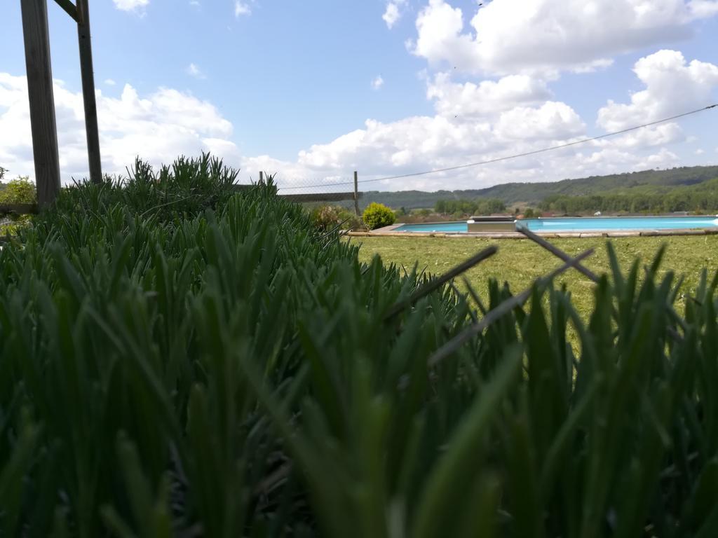 Villa La Guionie Montignac Lascaux Eksteriør billede